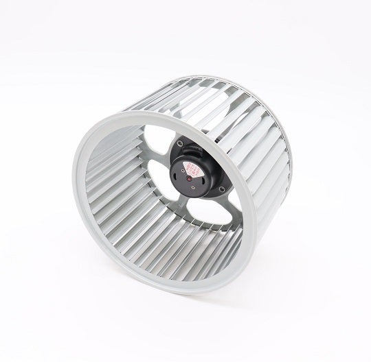 619k0177-cf.jpg