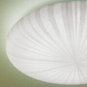 a13700_a01s.jpg