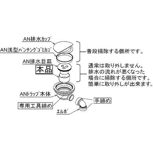 anyw_01.jpg