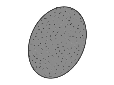 avv43k-tb0u.jpg