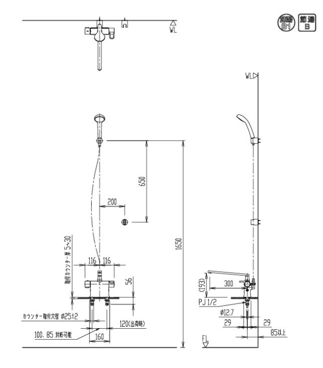 bf-wm646tsg-300.jpg