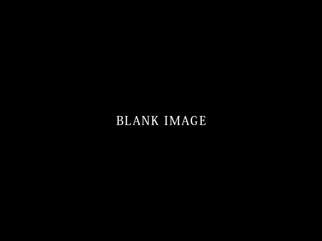 blank_mainimage.jpg