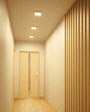 c11101_c08s.jpg