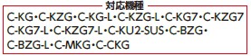 ce-hc-h_7.jpg