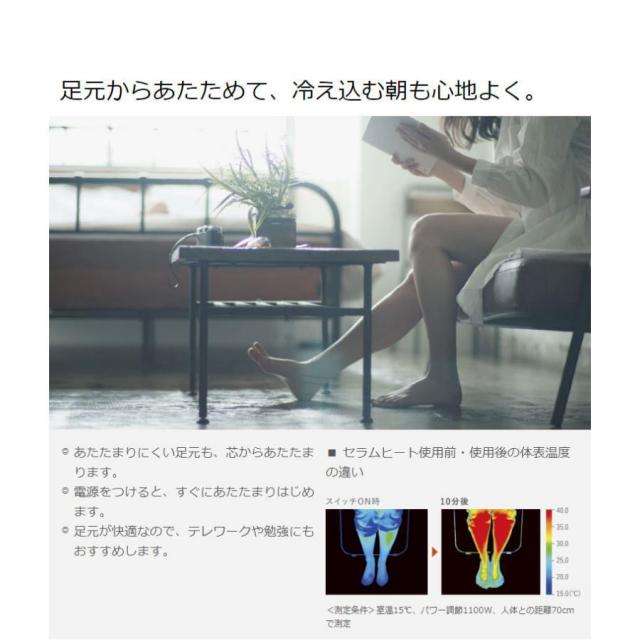 cer11ys-w_8.jpg