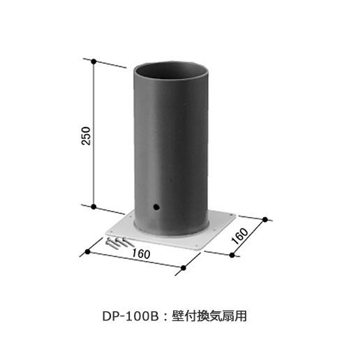 dp-100x_1.jpg