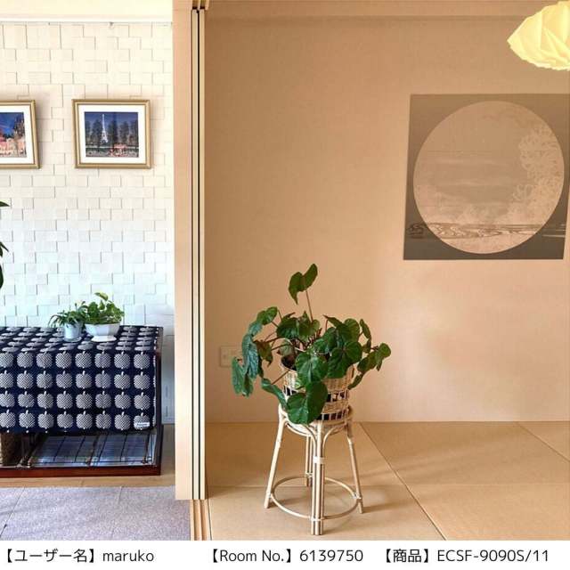 ecsf-xxxxs-11_3.jpg