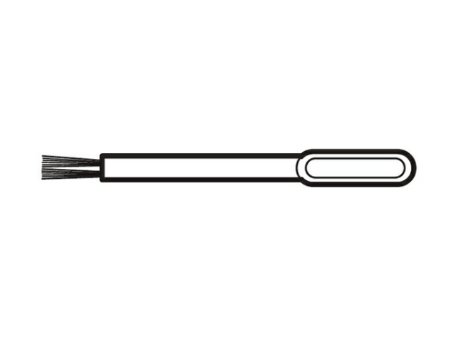 ehhs99l7257.jpg