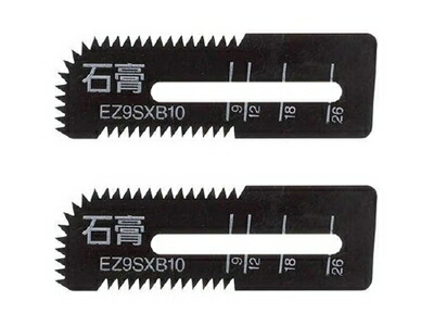 ez9sxb10.jpg