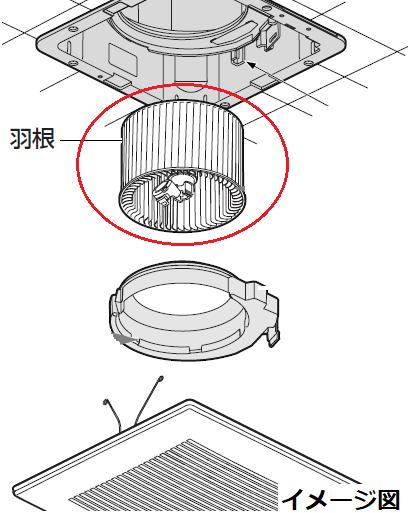 ffv2100562.jpg