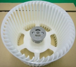 ffv2100566.jpg