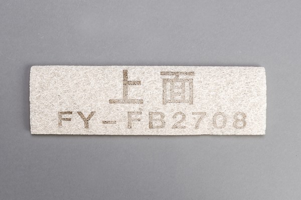 ffv2510119b.jpg
