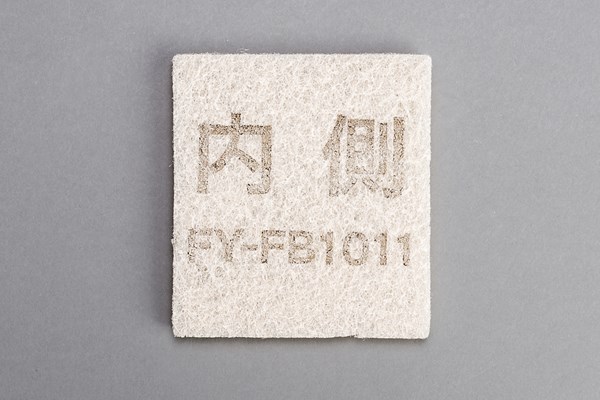 ffv2510148b.jpg