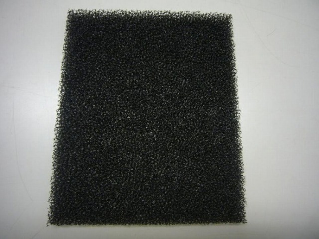 ffv2510162.jpg