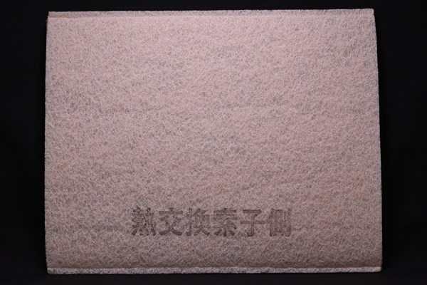 ffv251f008.jpg