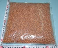 gft100010.jpg