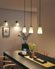 h12900_j31k.jpg