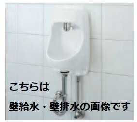 imgrc0083717774.jpg
