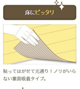 imgrc0087064193.jpg