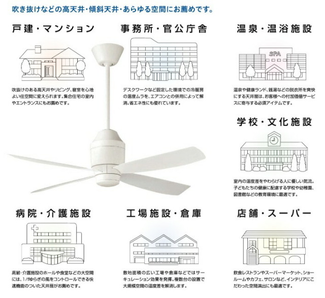 imgrc0095393919.jpg