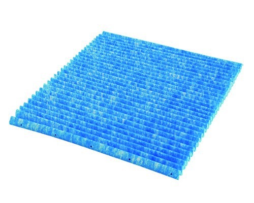 kac017a41.jpg