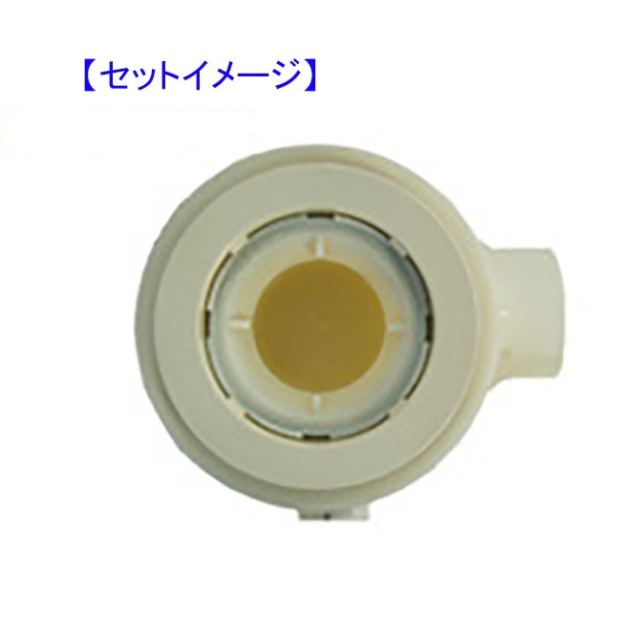 kgbd311_02.jpg