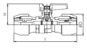 ncv_1.jpg