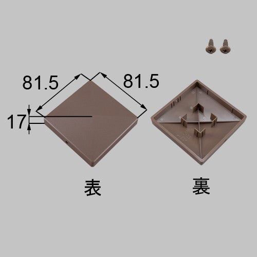 netex00050.jpg