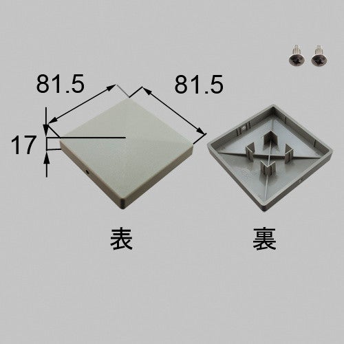 netex00068.jpg