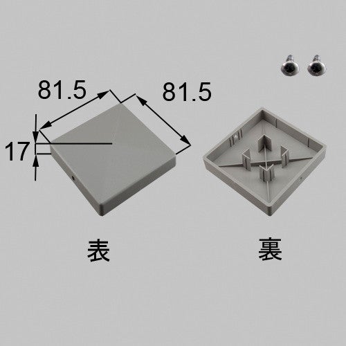 netex00074.jpg