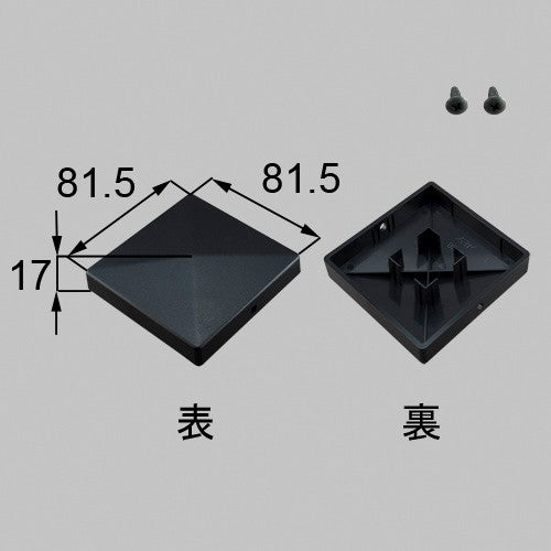 netex00077.jpg