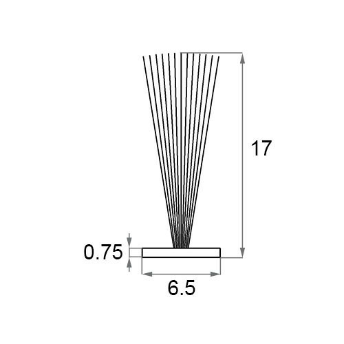 netsa00345.jpg