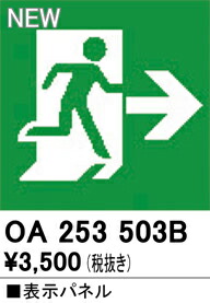 oa253503b_1.jpg