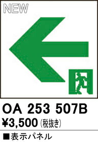 oa253507b_1.jpg
