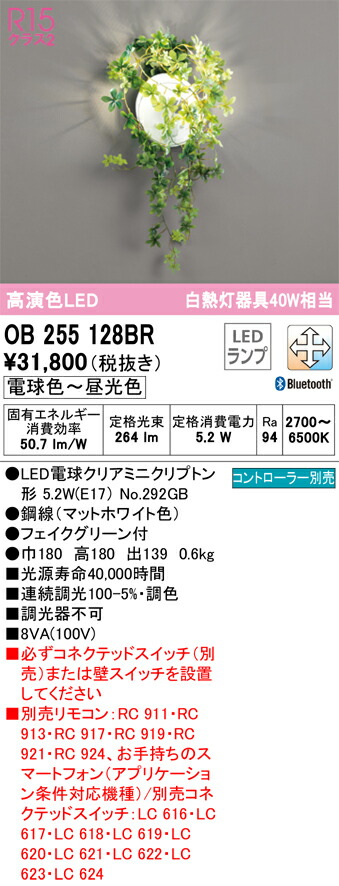 ob255128br_1.jpg