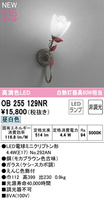 ob255129nr_1.jpg