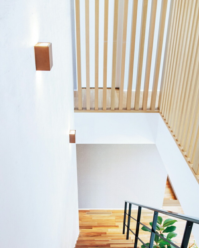ob255354lr_3.jpg