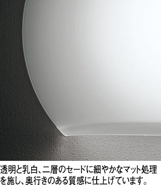 ob255360cr_3.jpg