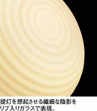 ob255362br_3.jpg