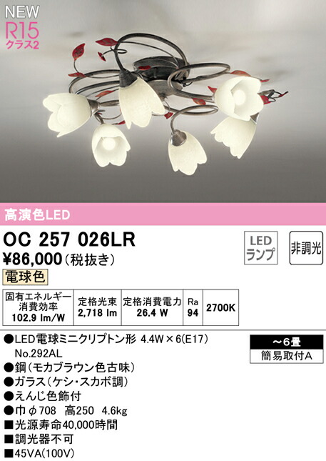 oc257026lr_1.jpg