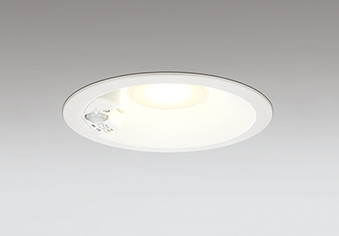 od361206r_1.jpg