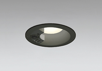 od361659r_1.jpg