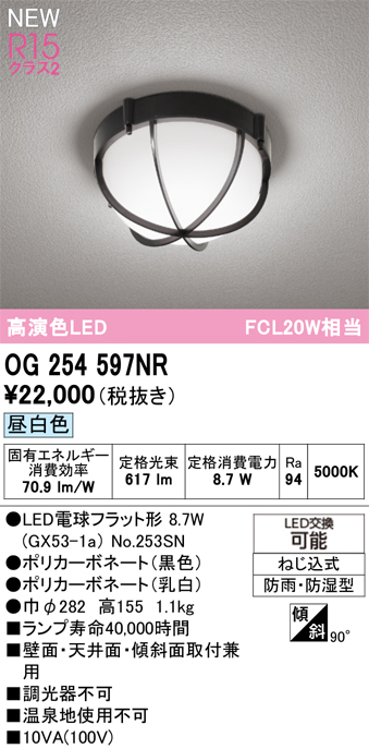 og254597nr_1.jpg