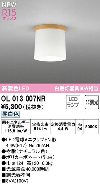 ol013007nr_1.jpg