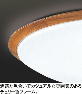ol251263bcr1_2.jpg