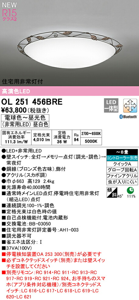 ol251456bre_1.jpg