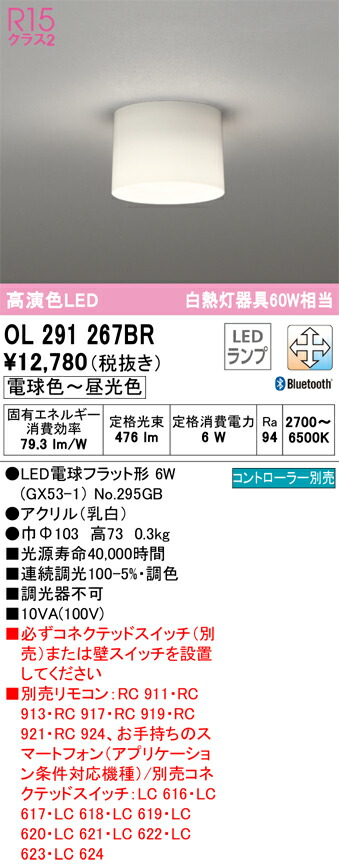 ol291267br_1.jpg