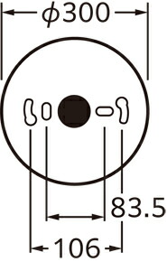 ol291484nr1_5.jpg