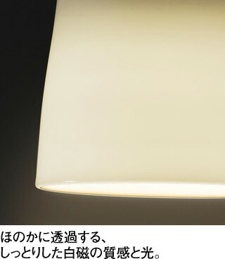op252806br_6.jpg