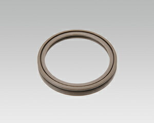 pwm1004.jpg